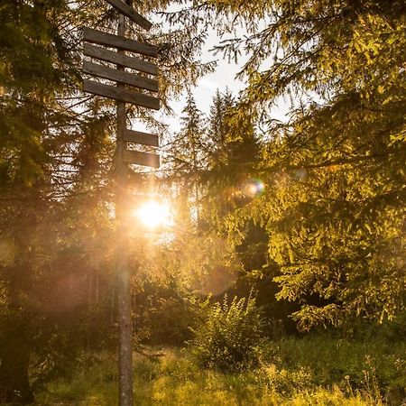 Marko'S Eco Cabin بليد المظهر الخارجي الصورة